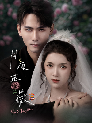 月夜蔷薇（72集）追短剧看全集