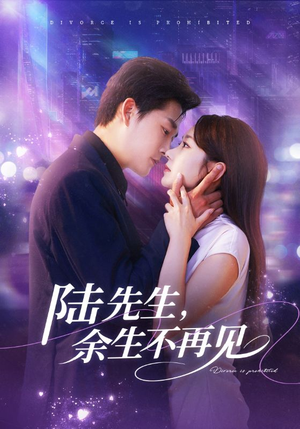 陆先生，余生不再见（88集）古装短剧推荐