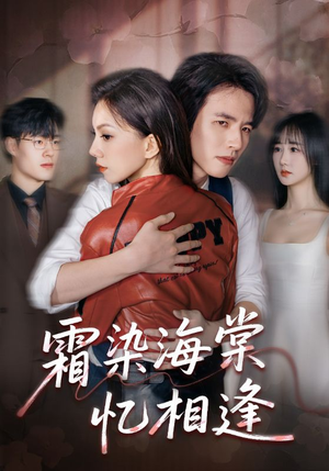 霜染海棠忆相逢（72集）短剧热播推荐