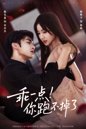 乖一点！你跑不掉了（80集）在哪个平台看