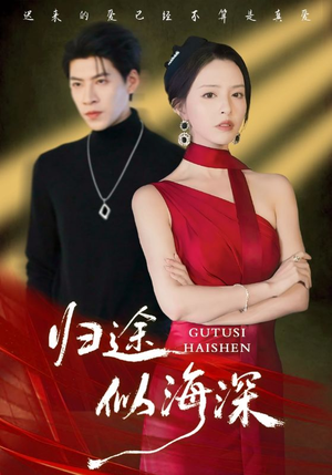 归途似海深（61集）全集都在这里了