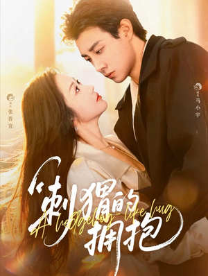 刺猬的拥抱（71集）看到大结局