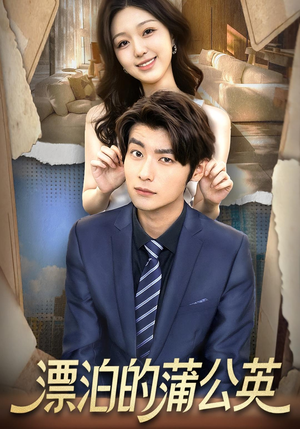 【漂泊的蒲公英】60集短剧在线免费畅快观看