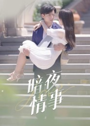 暗夜情事（100集）最火爆的短剧