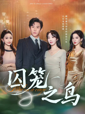 囚笼之鸟（52集）网盘在线观看