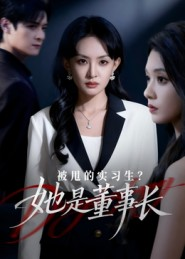 被甩的实习生？她是董事长！（59集）热门短剧大全