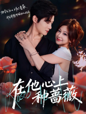 在他心上种蔷薇（81集）好看短剧追不停