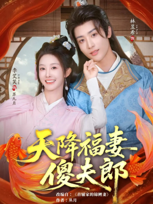 天降福妻傻夫郎（85集）在哪看免费