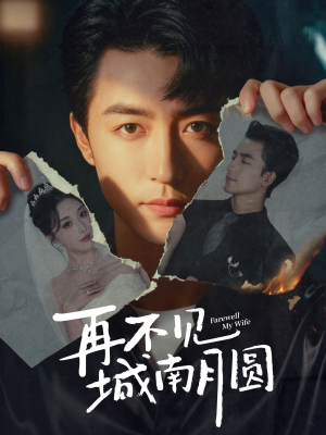 【再不见城南月圆】60集短剧免费在线全集看