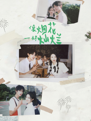 像烟花一样灿烂（60集）短剧追不停