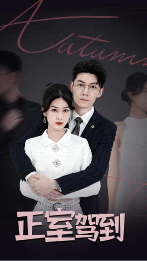 正室驾到（35集）最新热剧免费看