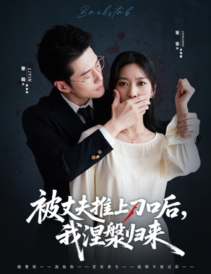 复婚抱歉我只谈判不谈情（65集）热门火爆短剧