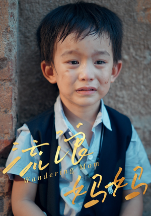 流浪妈妈（30集）小短剧推荐