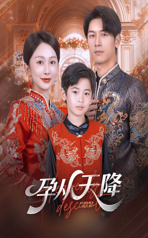 孕从天降（70集）全集在线看