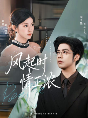 【风起时情正浓】79集免费短剧在线全集观看