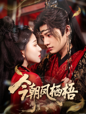 今朝凤栖梧（68集）第一集