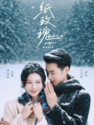 纸玫瑰第二部（80集）一起看短剧