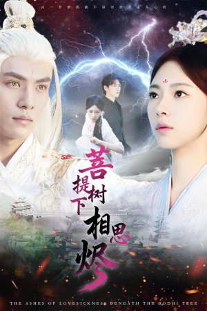 菩提树下相思烬（63集）最新热播短剧