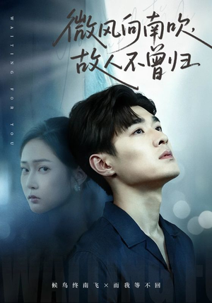 微风向南吹，故人不曾归（72集）推荐好短剧