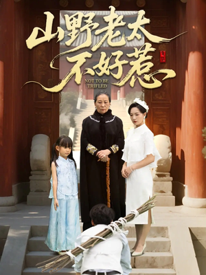 奶奶一脚震全城（64集）完整版免费观看