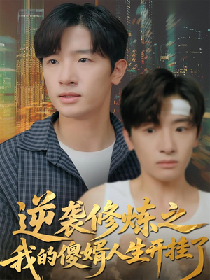 逆袭修炼之我的傻婿人生开挂了（65集）全集免费观看