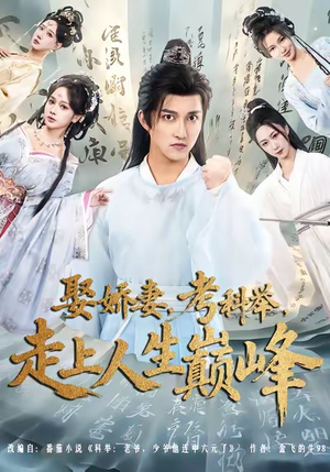 娶娇妻，考科举，走上人生巅峰（80集）热播短剧来袭