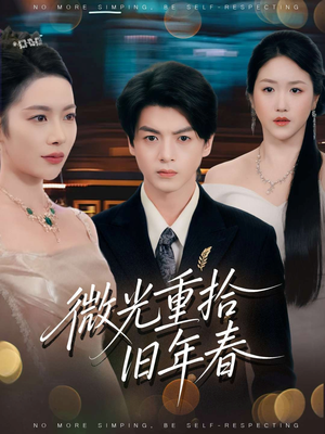 微光重拾旧年春（80集）最热短剧推荐