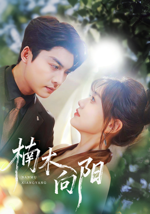 【楠木向阳】70集在线短剧免费全集追看