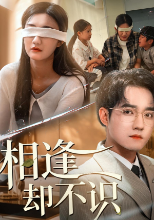 相逢却不识（77集）全集我都看完了