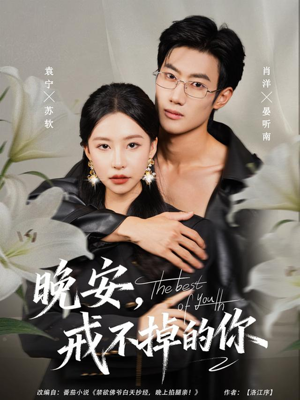 晚安，戒不掉的你（68集）在线免费观影