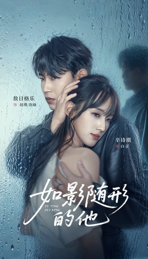 如影随形的他（30集）视频在线看