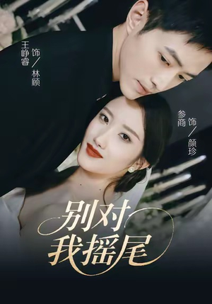 别对我摇尾（59集）穿越短剧推荐