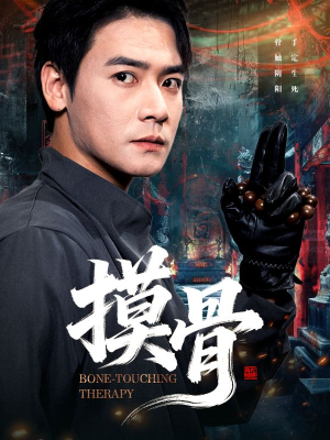 摸骨（74集）流畅播放免费看