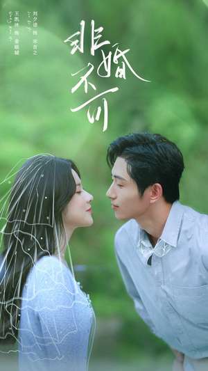 非婚不可（65集）免费观看就是爽