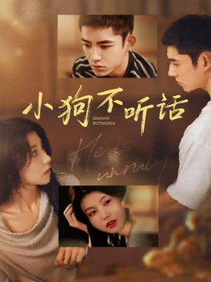 小狗不听话（70集）全集都在这里了