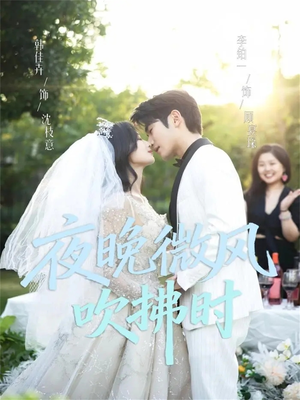 【夜晚微风吹拂时】61集腾讯视频短剧观览