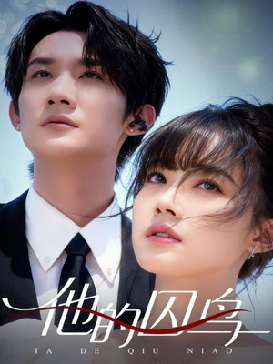 他的囚鸟（60集）在线免费观看