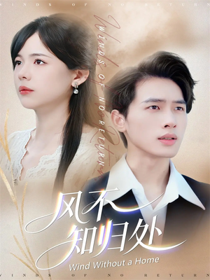 风不知归处（78集）最新上映免费看