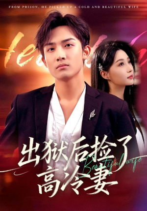 出狱后捡了高冷妻（71集）好看的短剧电影