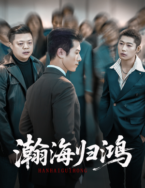 瀚海归鸿（74集）短剧解说全集