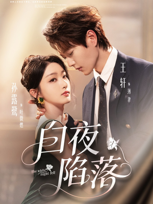 白夜陷落（81集）解说文案