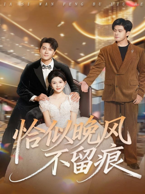 恰似晚风不留痕（61集）更新时间一览表