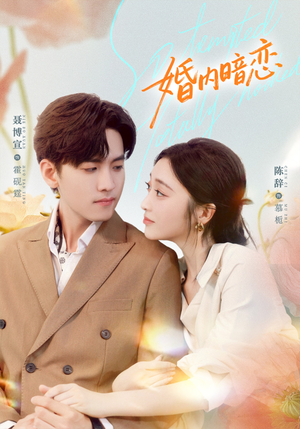 婚内暗恋（80集）网络小短剧
