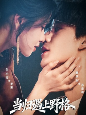 【当归遇上野格】66集免费短剧在线全集赏看