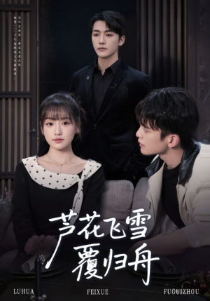 芦花飞雪覆归舟（77集）热播古装短剧