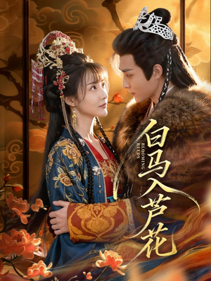 白马入芦花（59集）短剧小说在线看