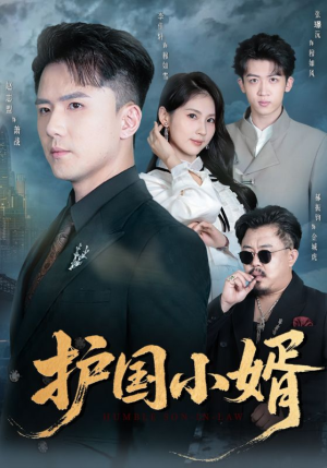 护国小婿（60集）抢先看新短剧