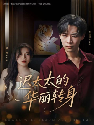 迟太太的华丽转身（80集）短剧视频分享