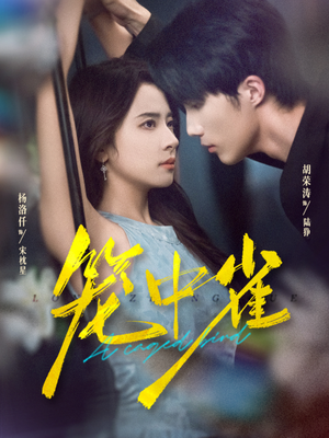 笼中雀（65集）免费短剧看全集