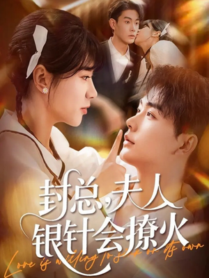 封总，夫人银针会撩火（69集）河马免费短剧